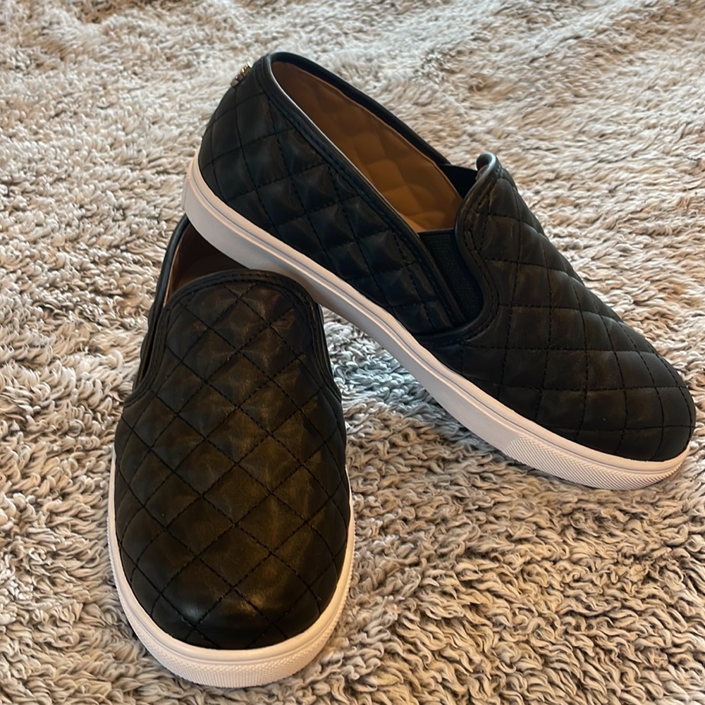 Steve Madden Women’s Ecntrcqt Shoes 7W